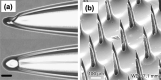 Fig. 17