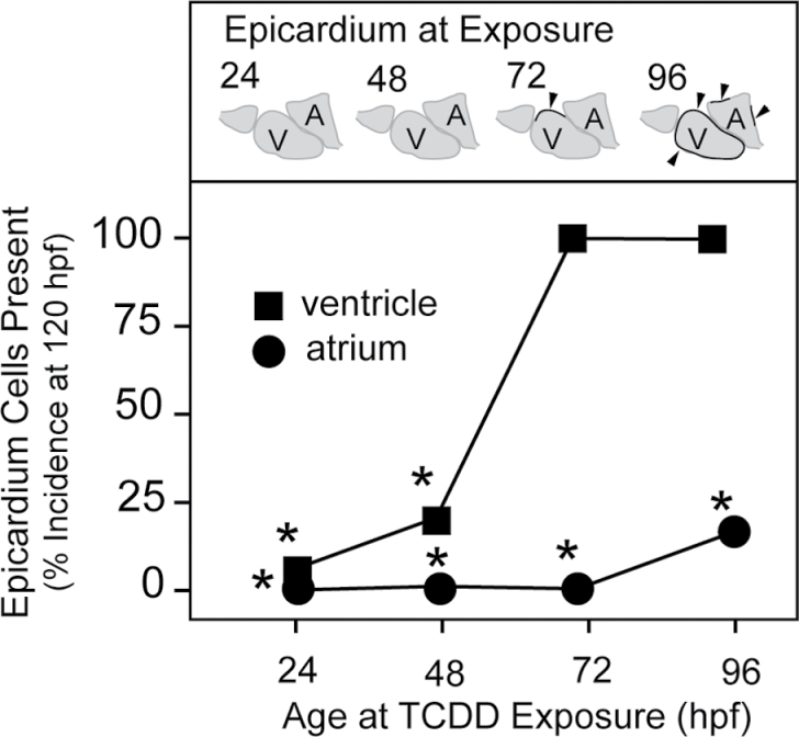 Fig. 10.