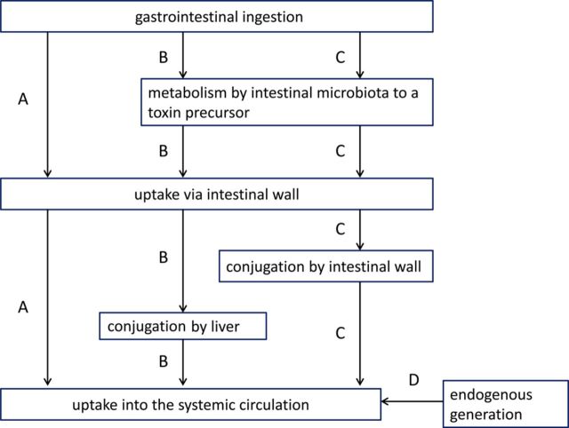 Fig. 1.