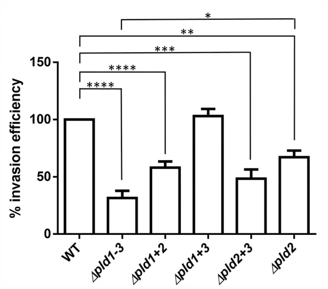 Fig 8