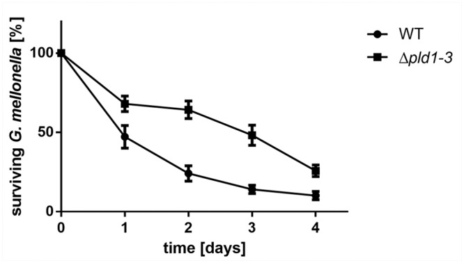 Fig 6