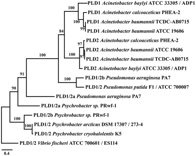 Fig 4