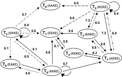 Fig. 5.