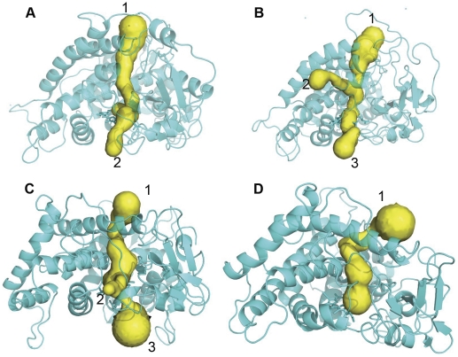 Figure 7