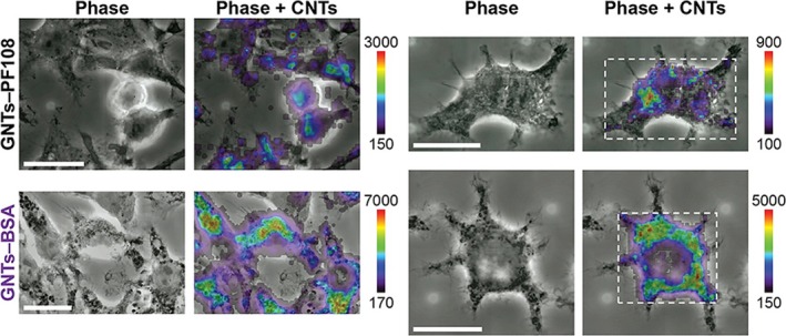 Figure 11