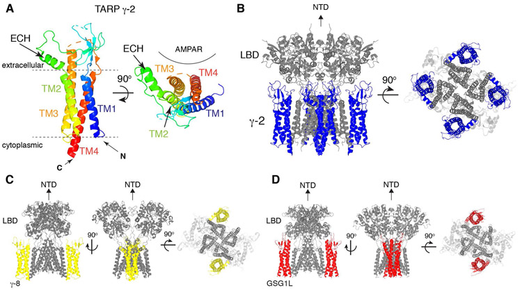 Figure 4.