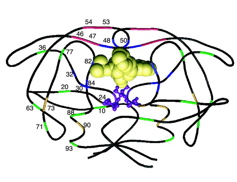 FIG. 1.