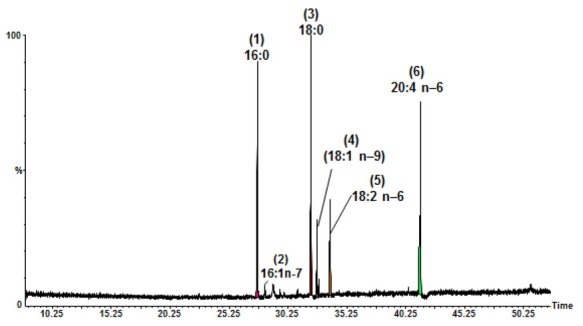 Fig. 4