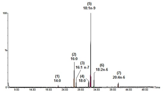 Fig. 5