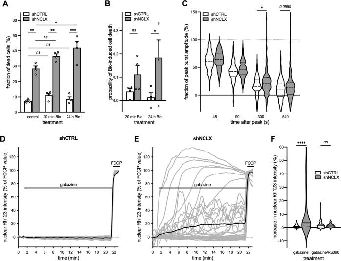 Figure 6