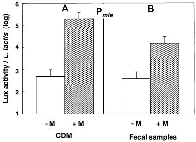 FIG. 3