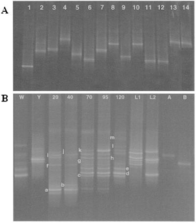 FIG. 5.