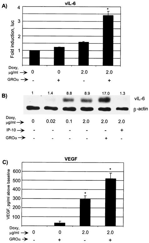 FIG. 6.