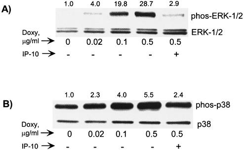 FIG. 3.