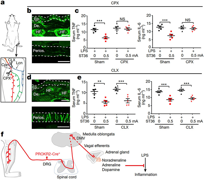 Fig. 4: