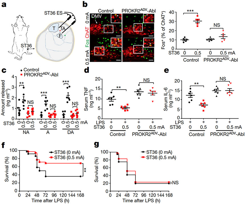 Fig. 2: