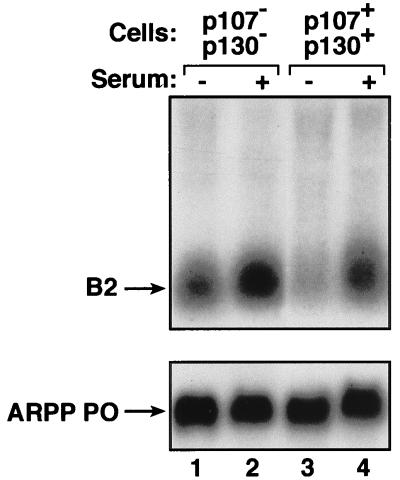 FIG. 8