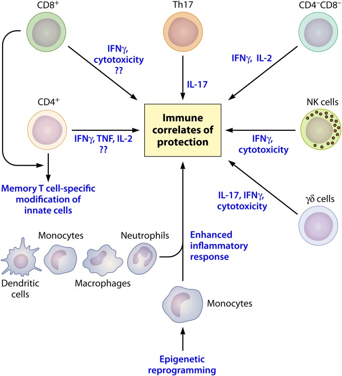 FIG 1