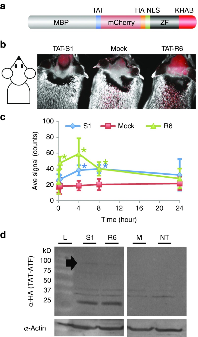 Figure 2