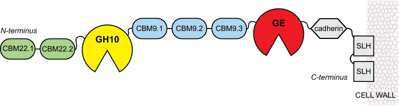 Fig. 1