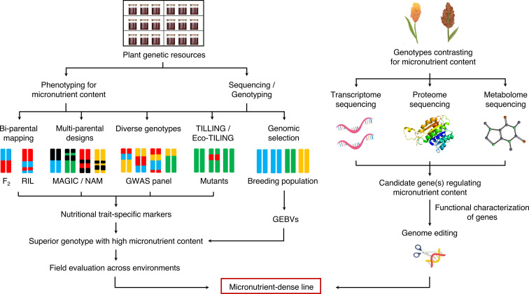 Figure 2