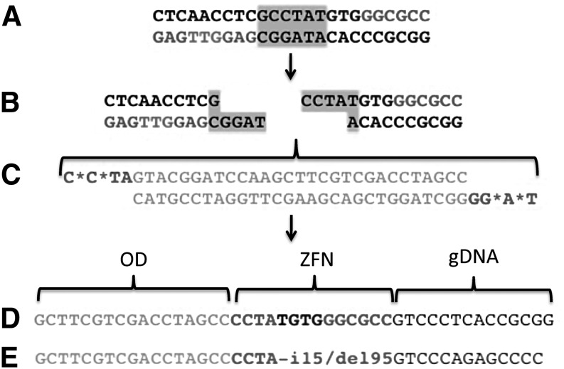 FIG. 5.