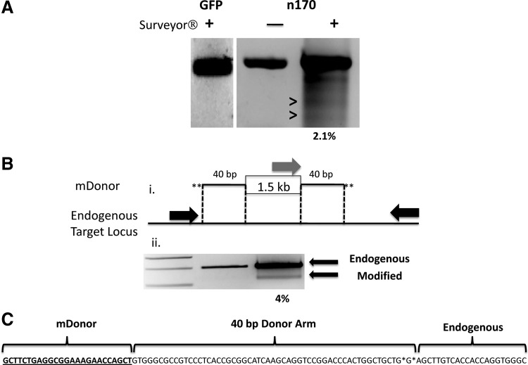 FIG. 6.