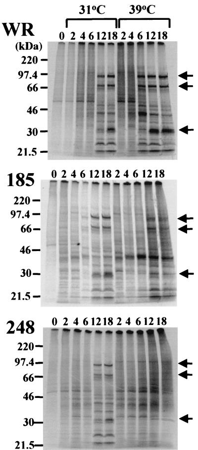 FIG. 9