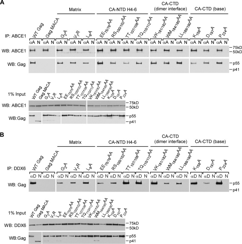 FIG 11