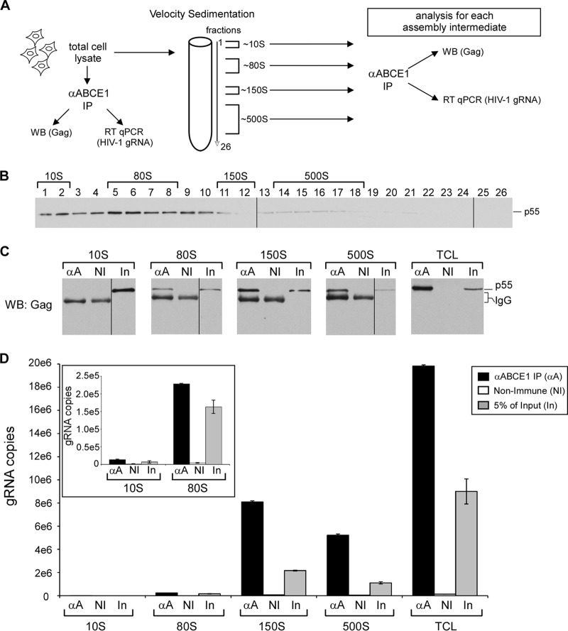 FIG 4