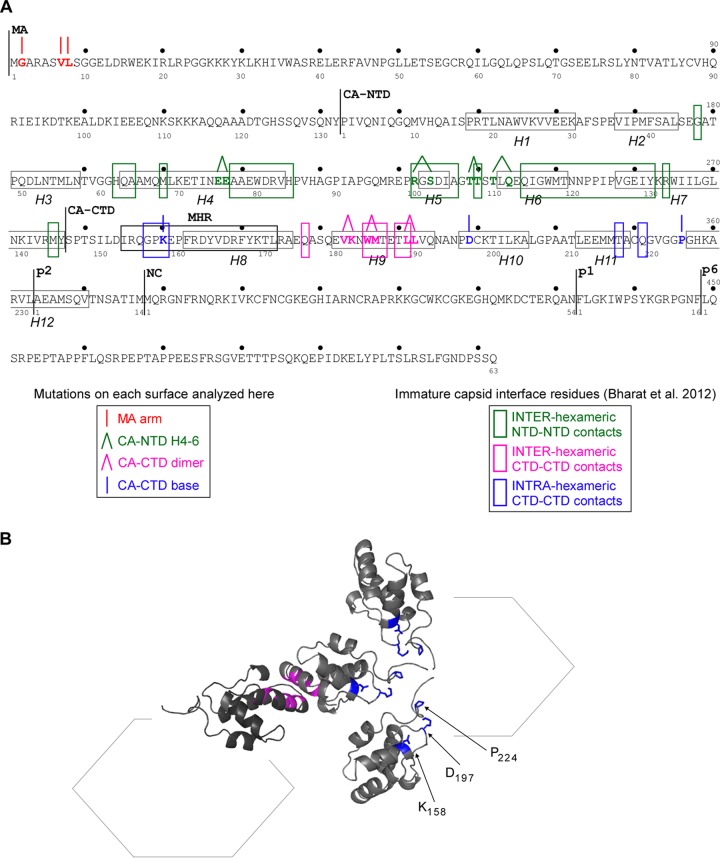 FIG 15