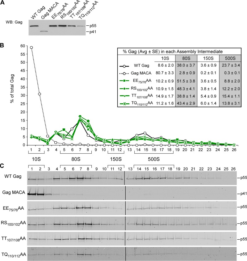 FIG 6