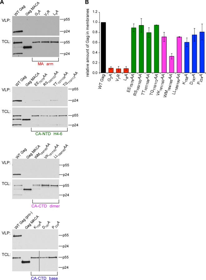 FIG 2