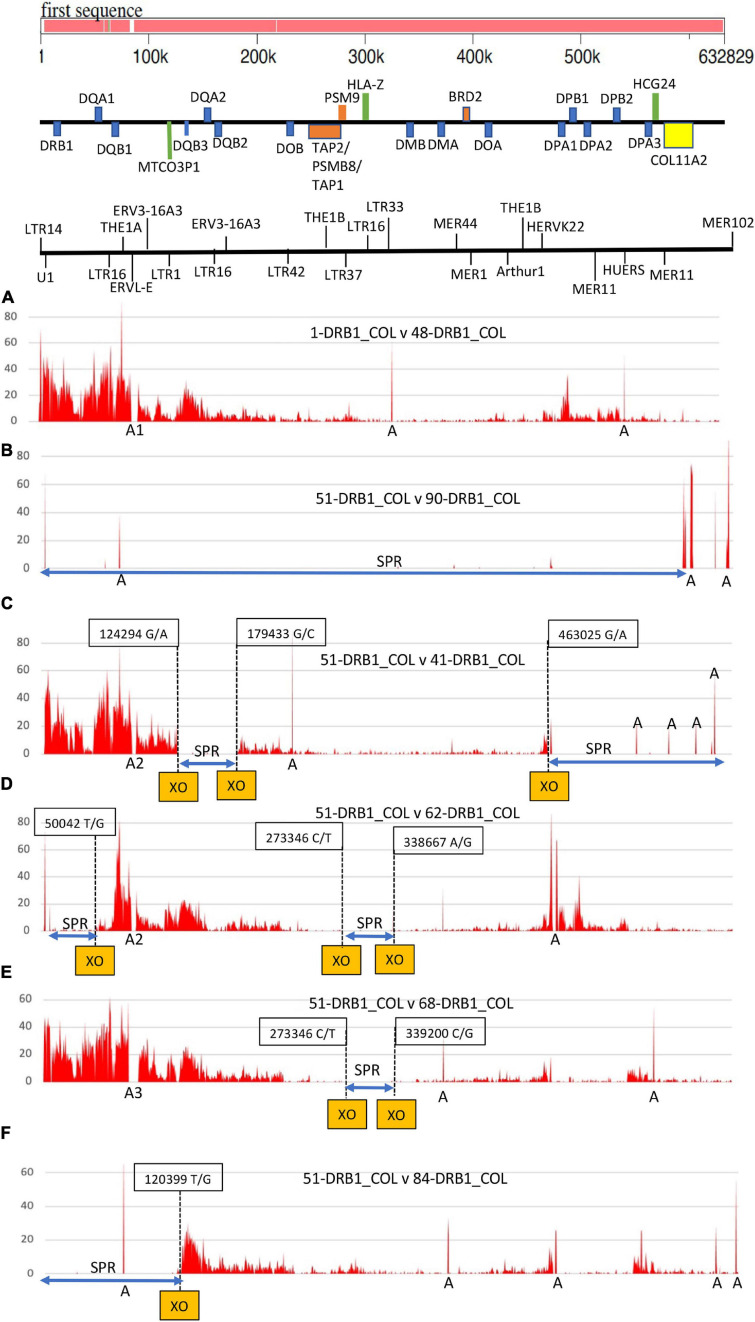 FIGURE 3