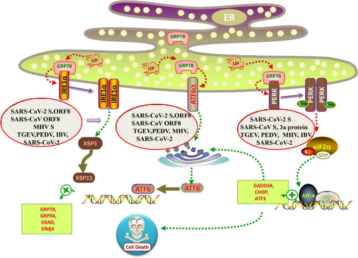 FIGURE 2