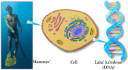 FIGURE 3