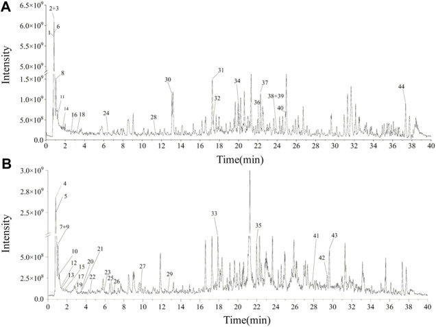 FIGURE 1