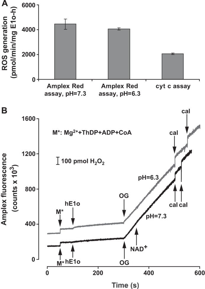 FIGURE 9.