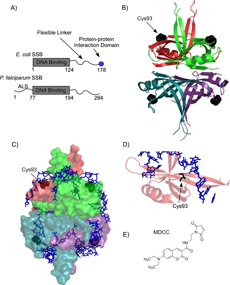 Fig 1