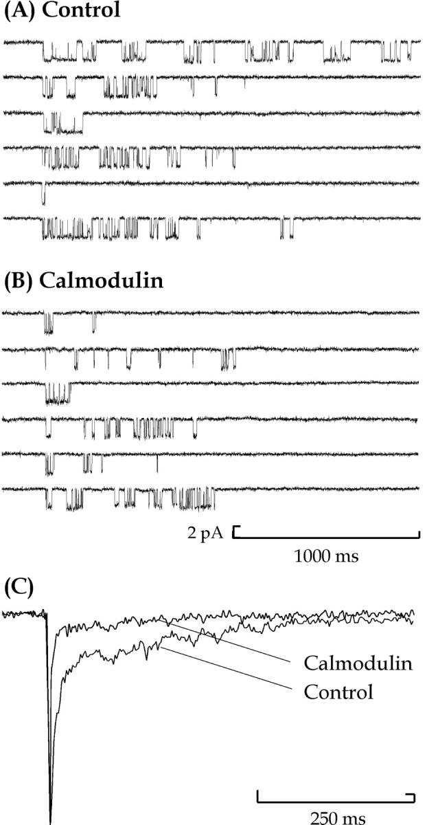 Fig. 7.