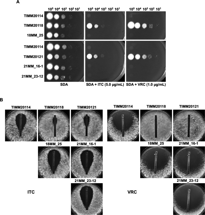 Fig 5