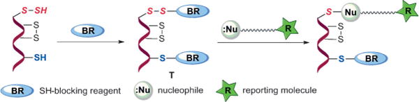 Scheme 2