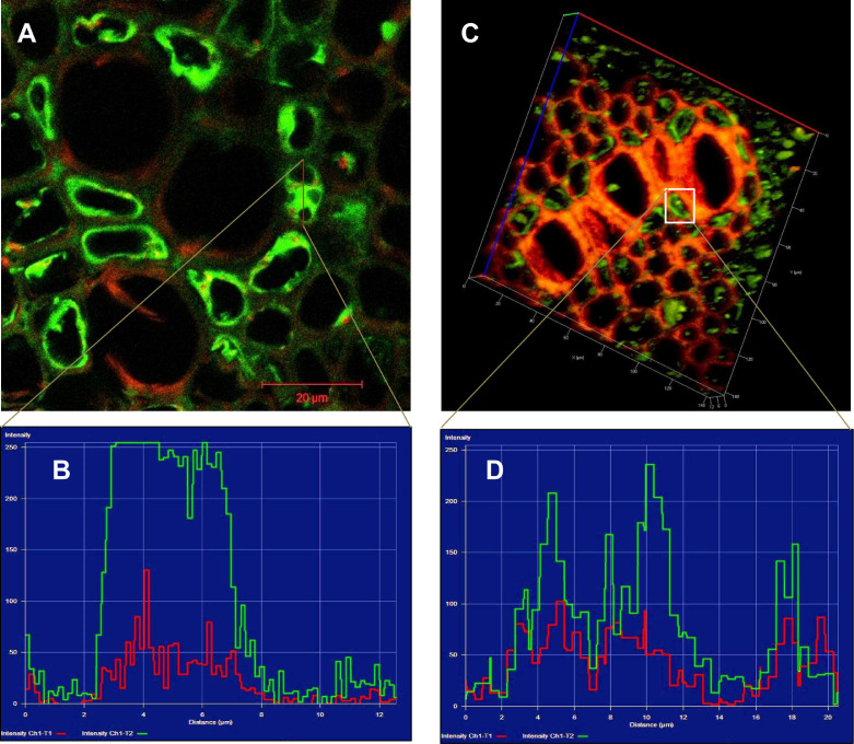 Fig 3