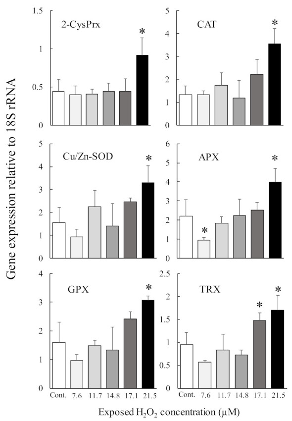 Figure 5