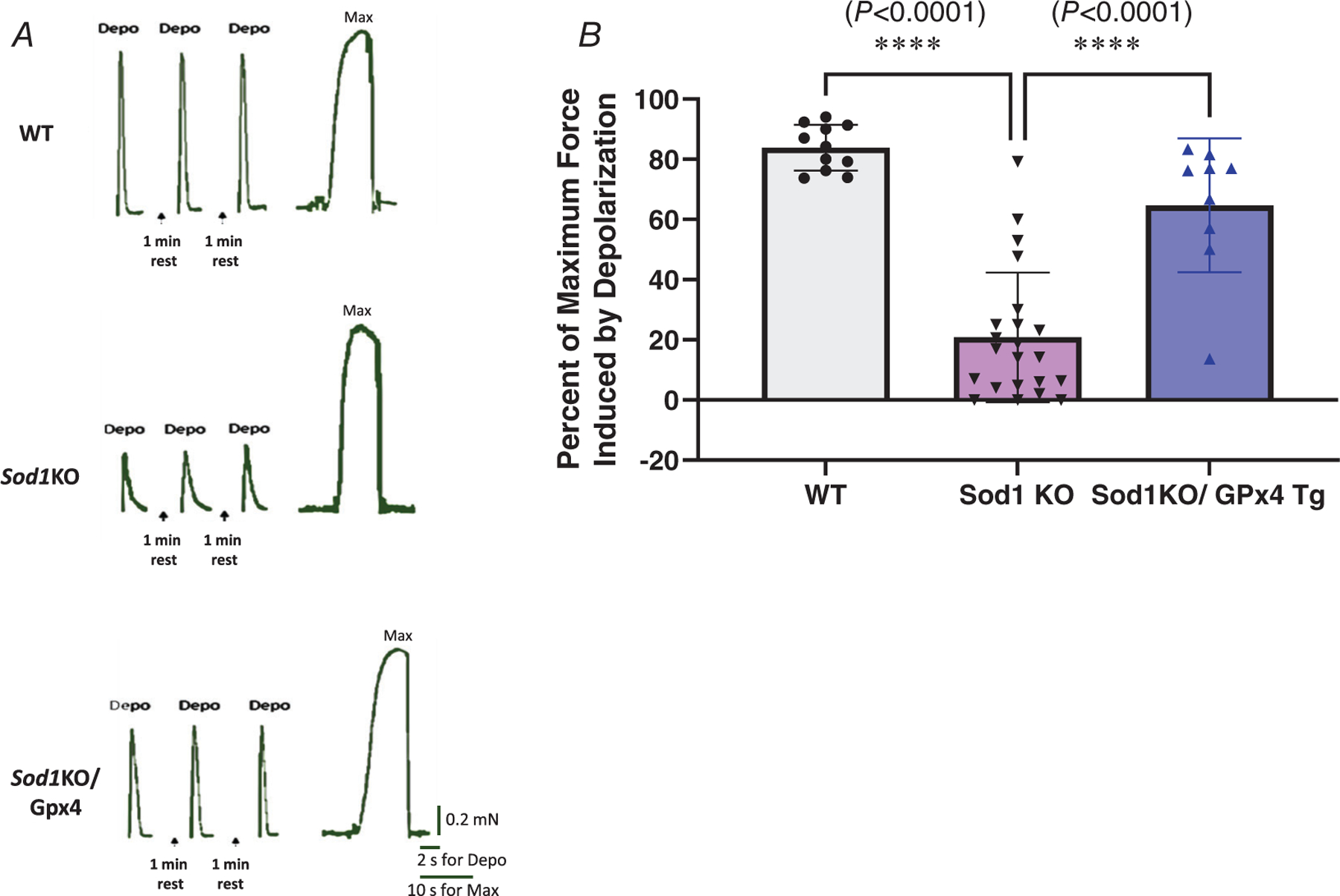 Figure 6.