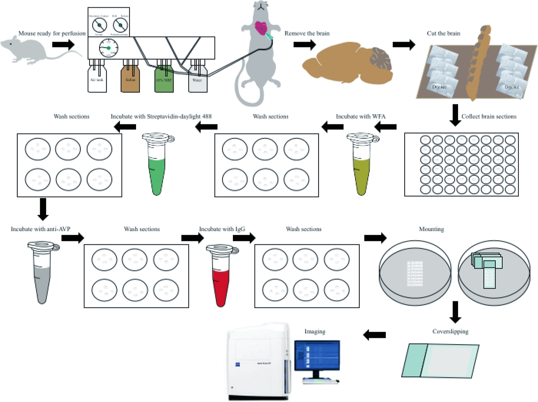 Figure 1: