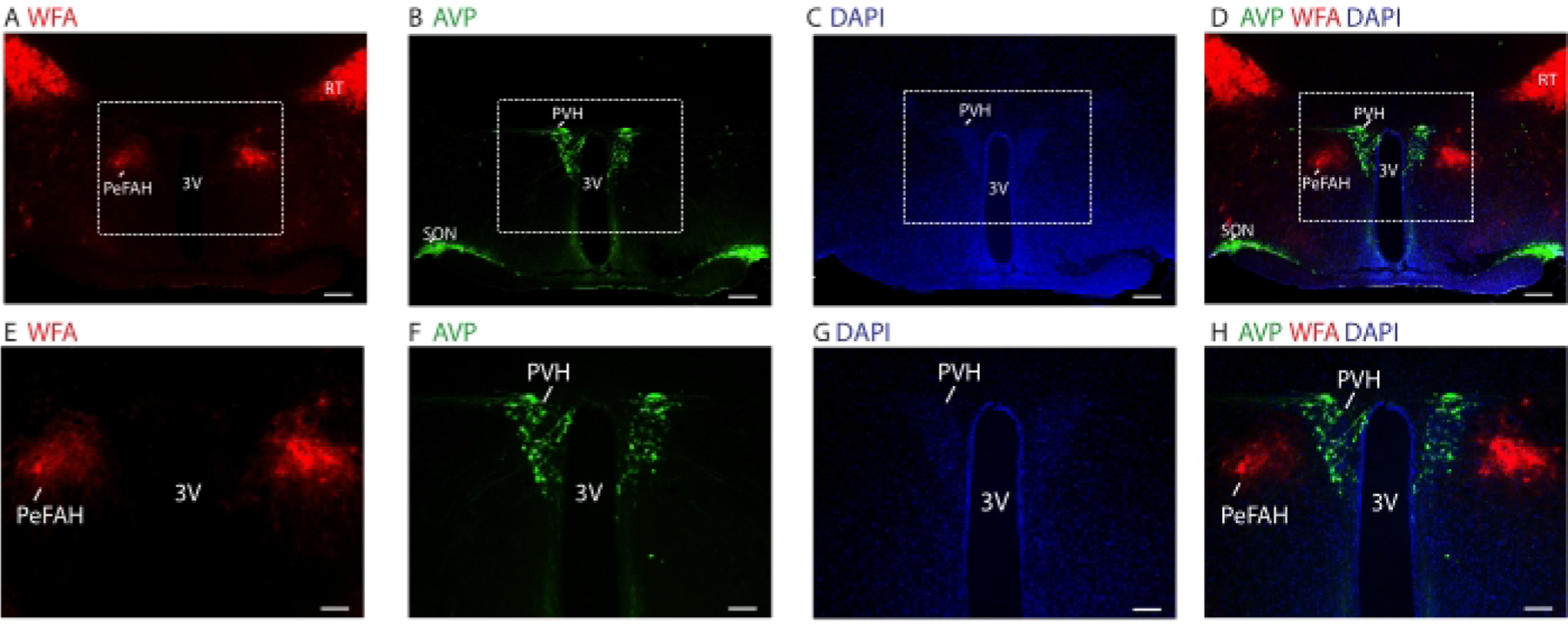 Figure 3: