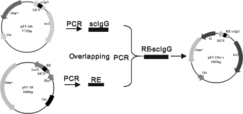 FIG. 2.