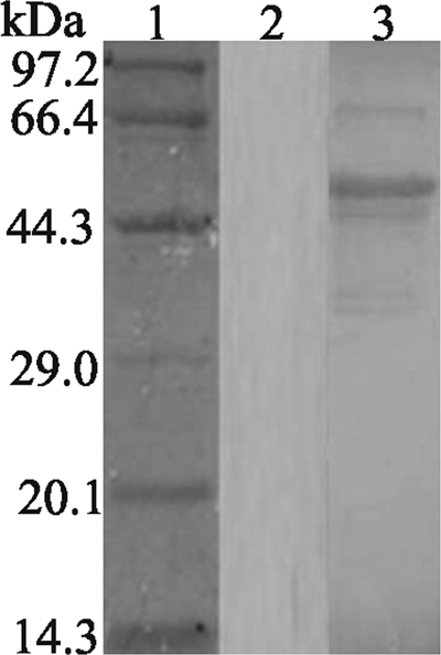 FIG. 5.