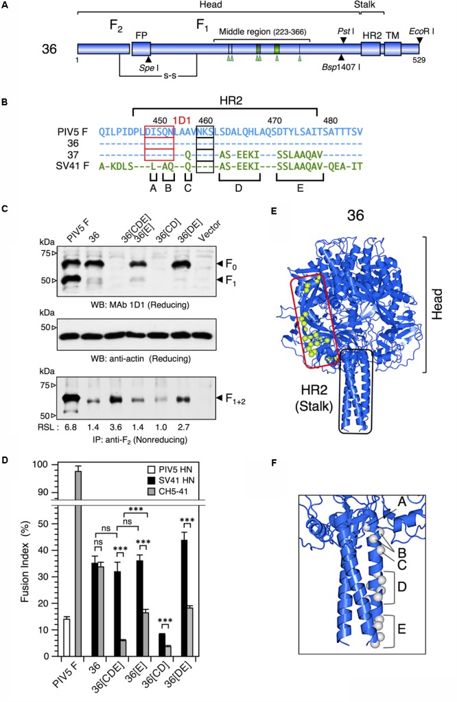 FIGURE 2